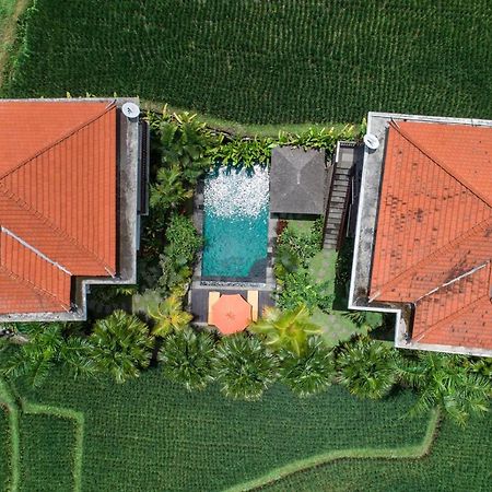 Cenik Villa Ubud Eksteriør billede
