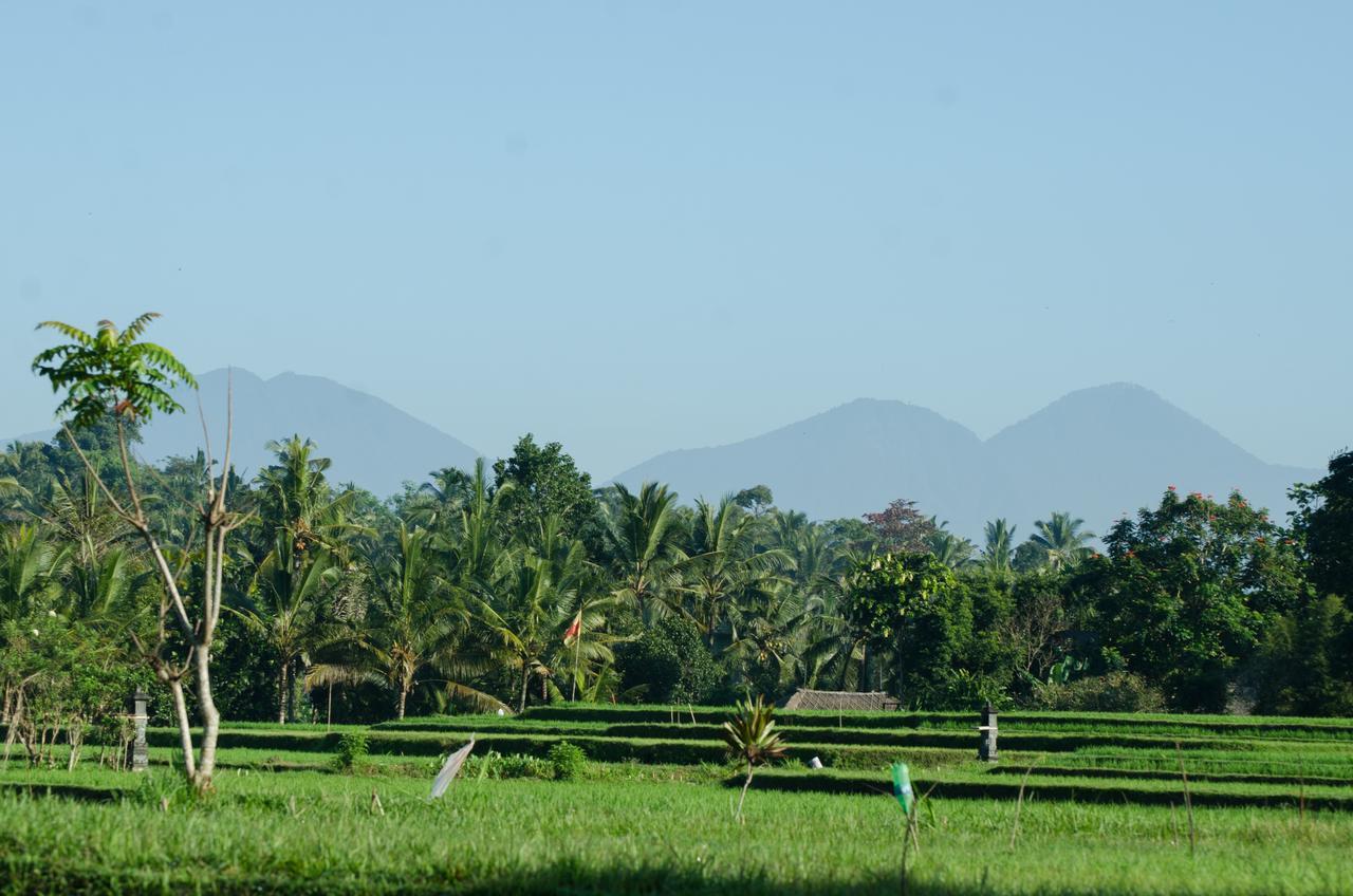 Cenik Villa Ubud Eksteriør billede