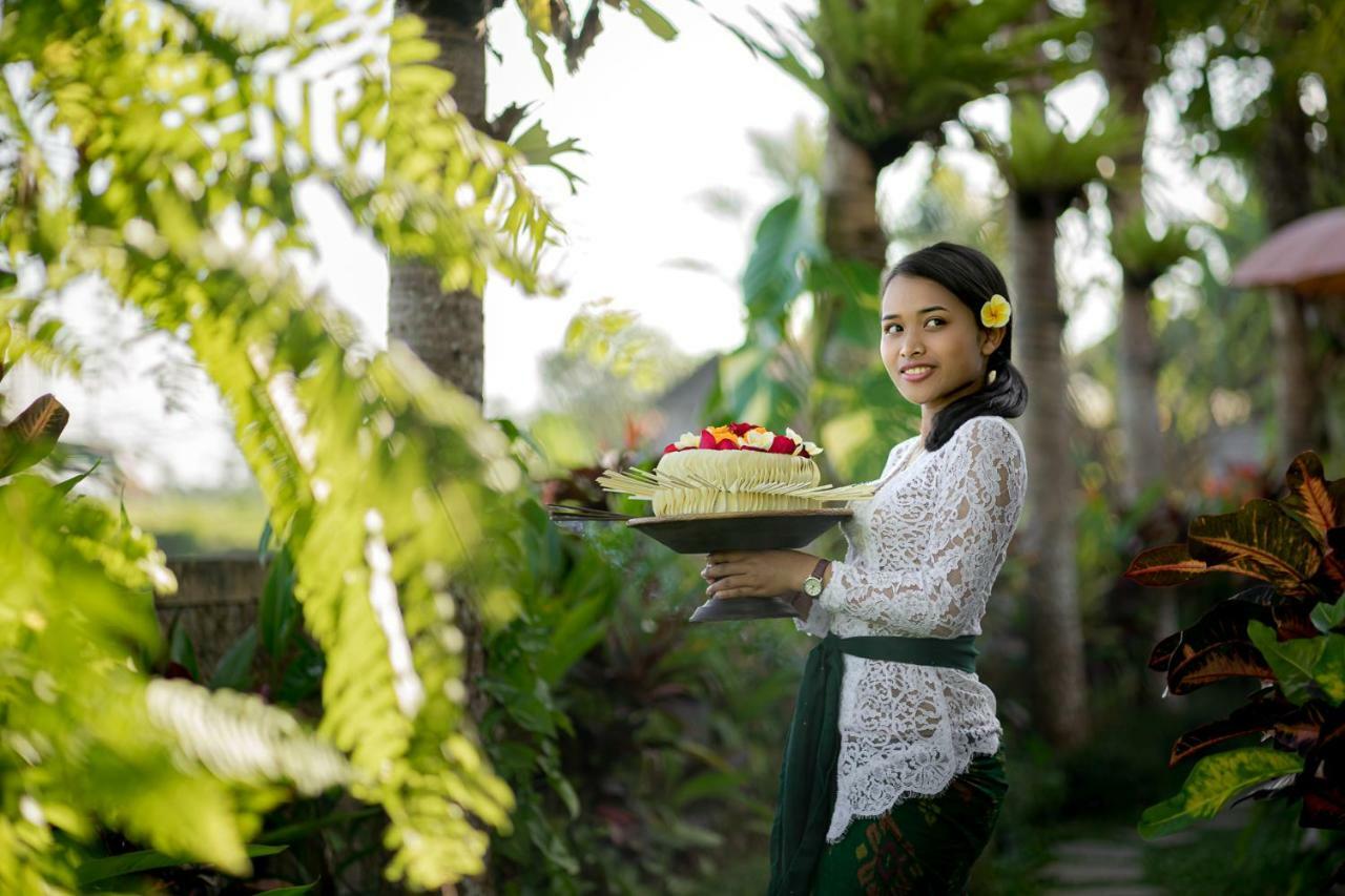 Cenik Villa Ubud Eksteriør billede