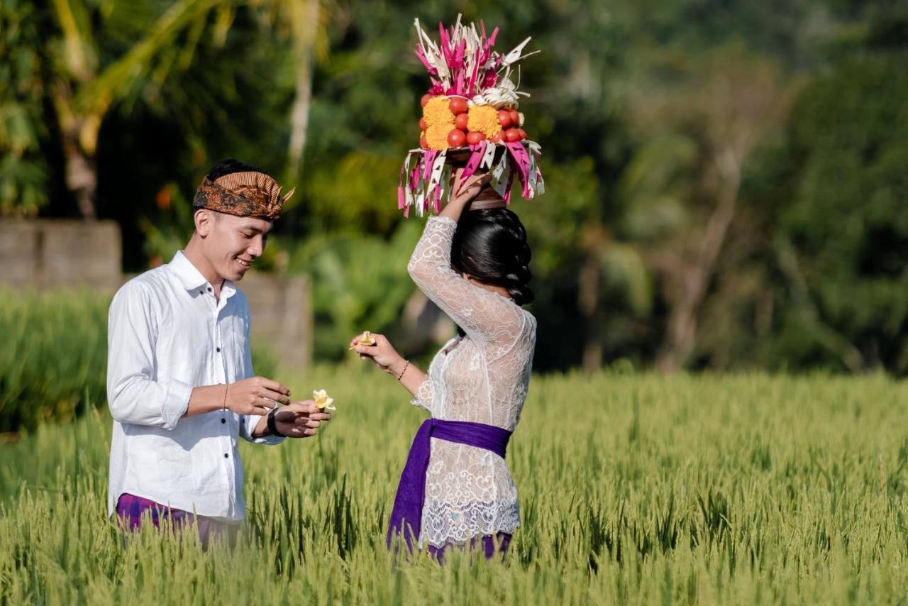 Cenik Villa Ubud Eksteriør billede