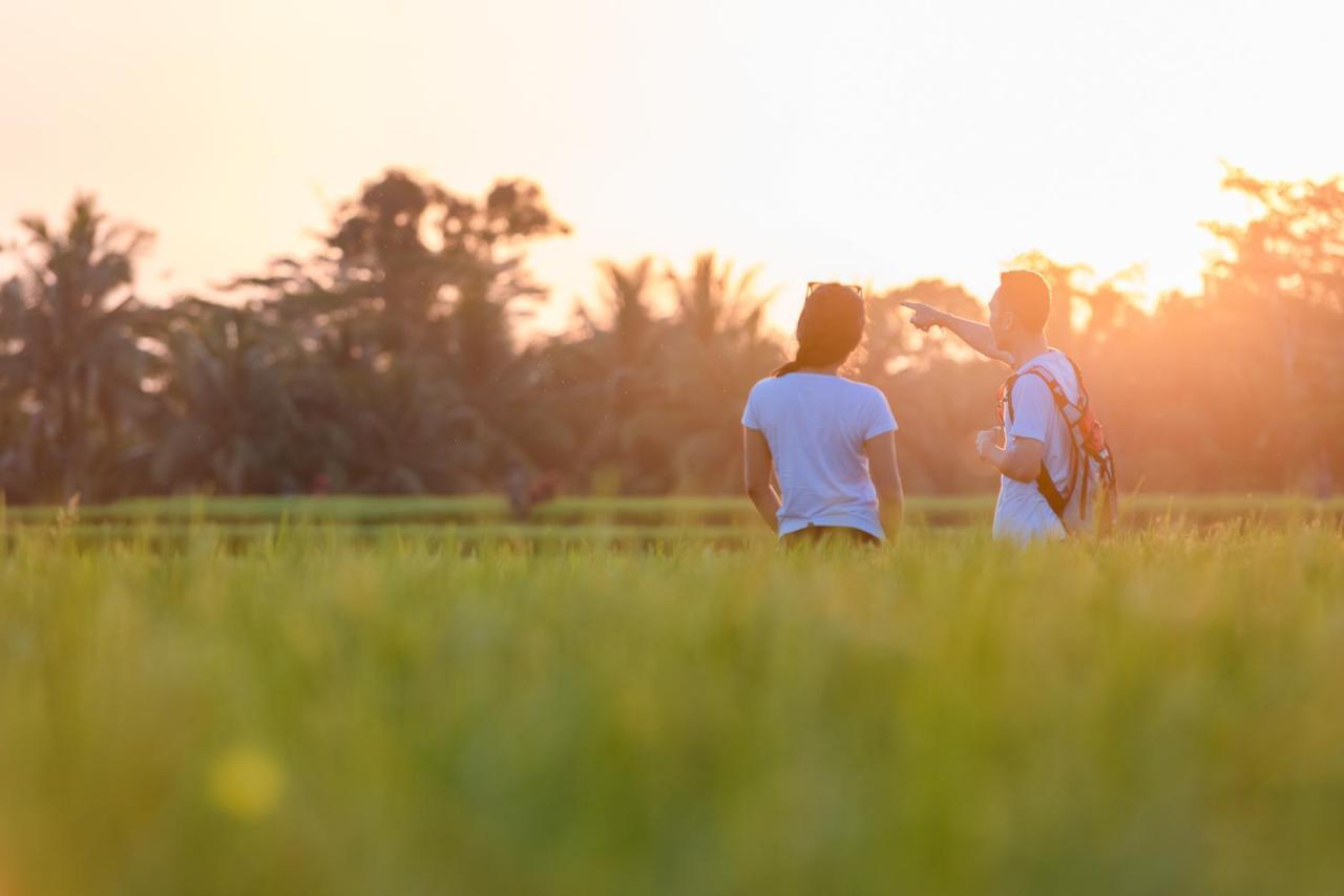 Cenik Villa Ubud Eksteriør billede
