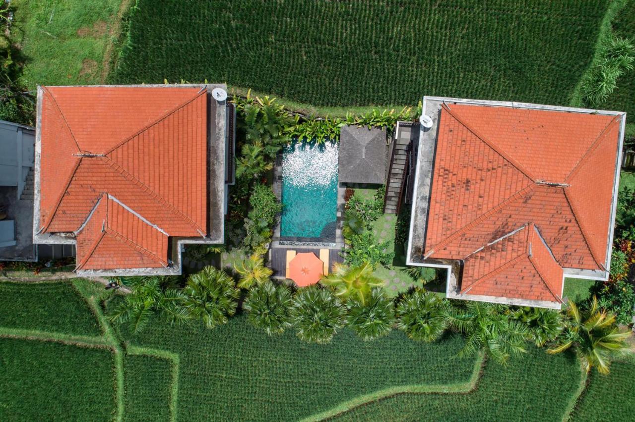 Cenik Villa Ubud Eksteriør billede